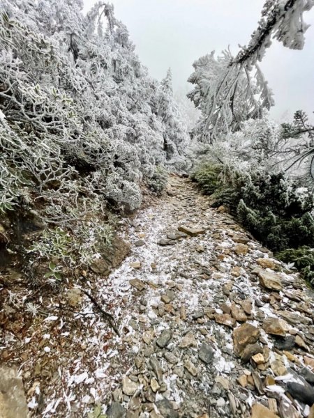 絕美銀白世界 玉山降下今年冬天「初雪」1236132