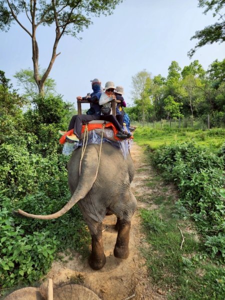 尼泊爾奇旺國家公園4天三夜2790892