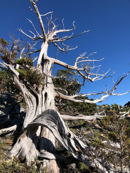 202505八大秀2874063