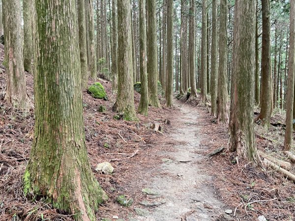 熊野古道參訪4日2805095