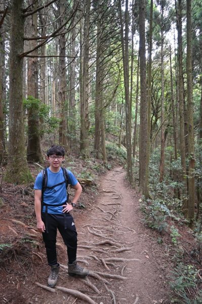 中級山-高島縱走2888396