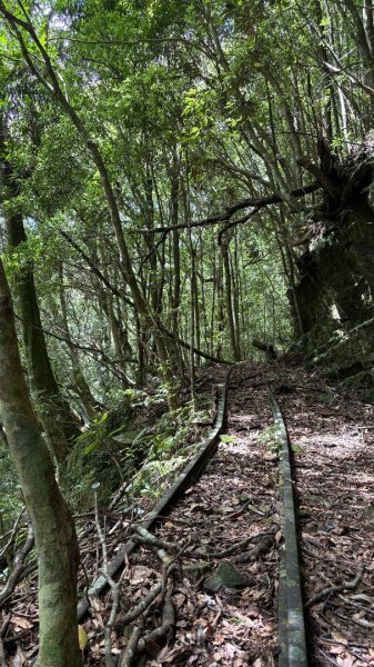 林鐵遺跡2878190