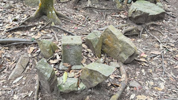 谷關白毛山2685543