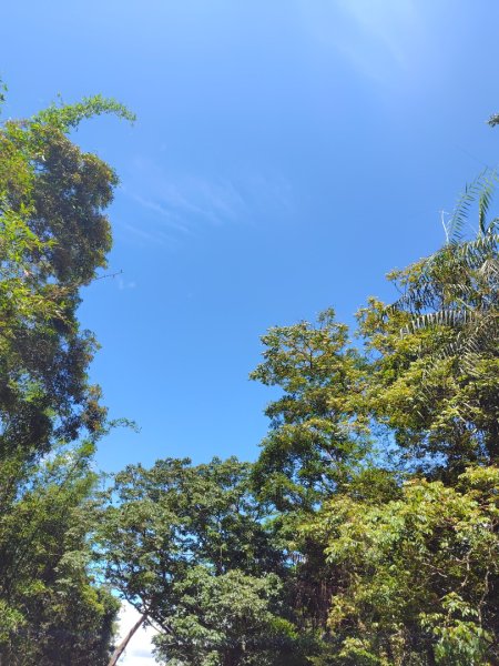 達娜伊谷-里美避難步道-巨石板步道-約富霓2788524