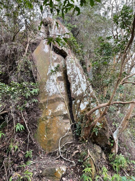 雙石緃走(石牛山至石門山)1584490