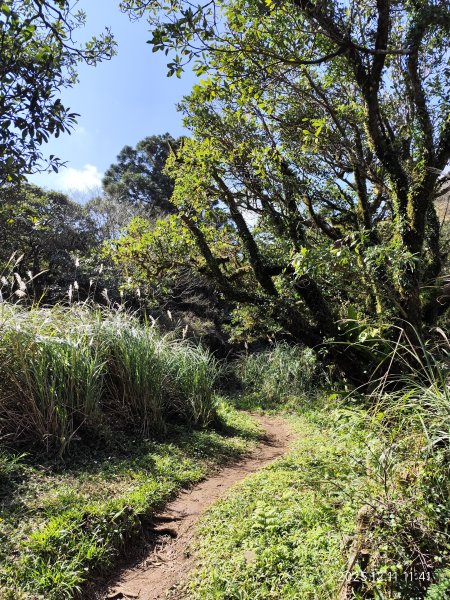 【臺北大縱走 2】【第二回合全程完成證書】鞍部→大屯山步道→大屯山主峰→大屯坪步道→二子坪步道2960402