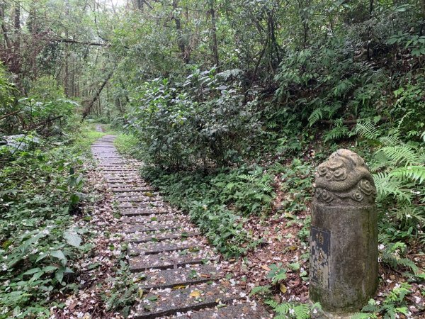 大崎棟古道、騎龍古道2772316