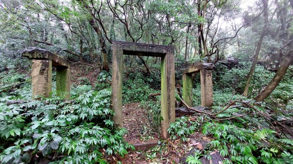 陽明山後花園，百年靜美牧牛山徑，古道草原精華連走2787721