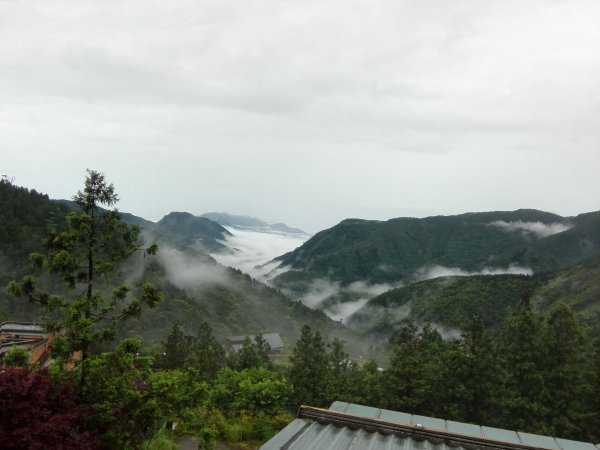 雲霧漫步山林之間~太平山466873