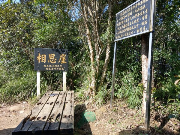 新竹飛鳳山(中坑山)小百岳880201