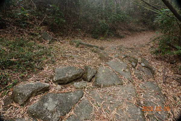 高雄 美濃 月光山1604831