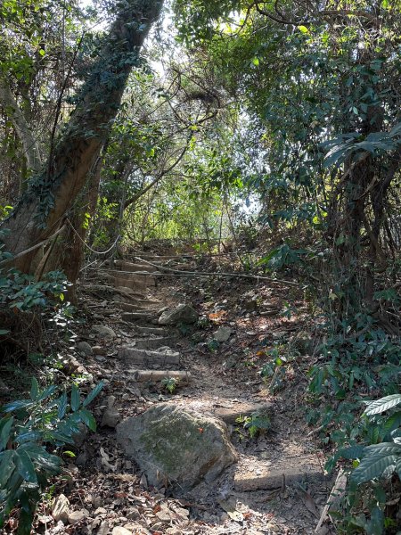 涼棚特別多的棚集山2058325