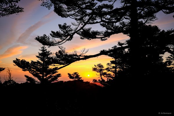 孟春．一個人的武陵(Day2晴日)3030900