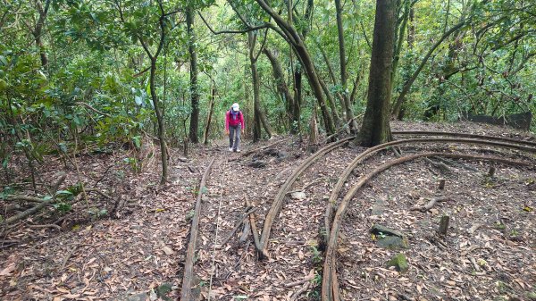 清幽的古道與舊日採礦遺址巡禮瑞芳蛇形子古道登烏塗窟山與獅子嘴奇岩O形2756636