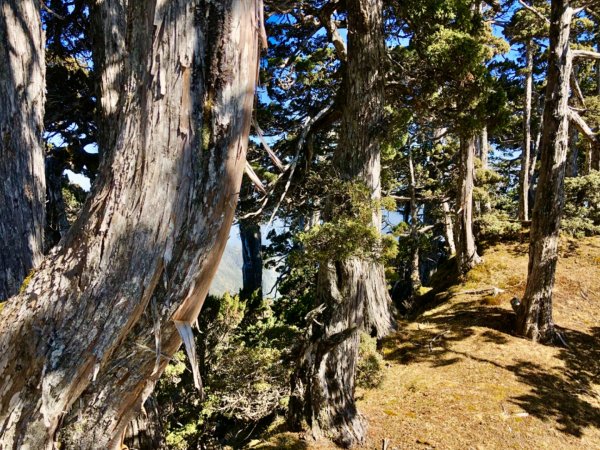 啟動高山度假模式～阿蓮五虎兄弟之馬博橫斷2073100