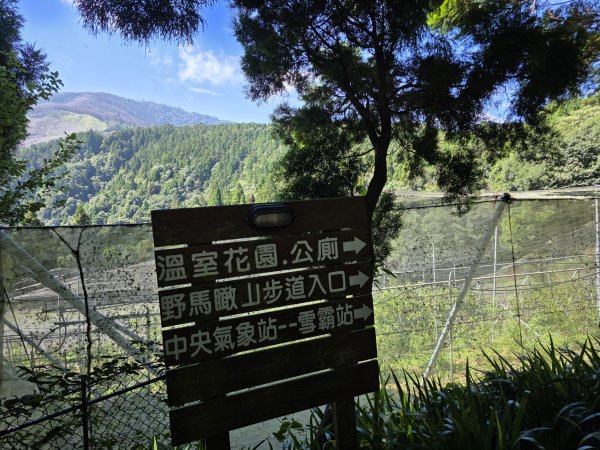 [皮皮獅探險隊-09/10] 2025_0816 野馬瞰山步道2862673