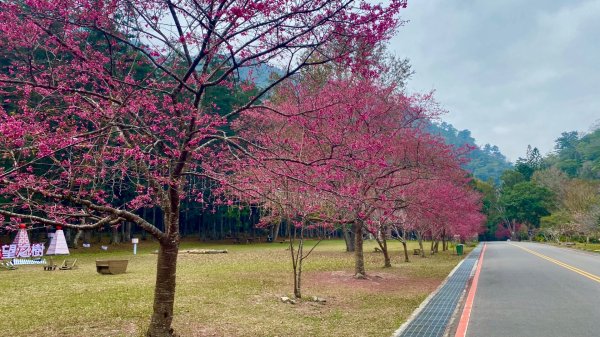 越野單車勇闖北港溪峽谷2998362