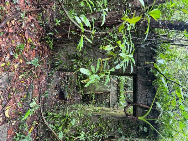 三林一后一紙及武山煤礦文化遺址8字行2991127