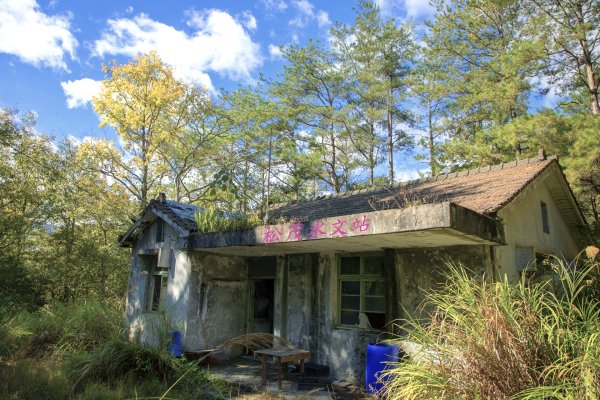 大小劍-油婆蘭全紀錄2674216