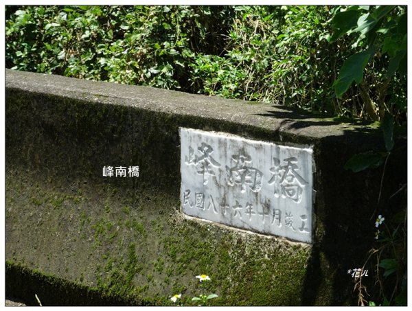 青桐林山(本雙溪嘴山、北坑山)1718488