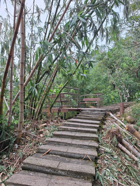 古坑荷苞山步道+小溪子山202411032642265