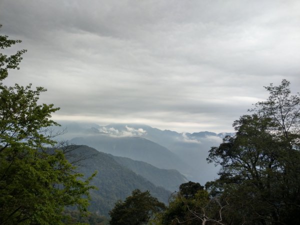 大雪山小神木步道+環站步道914513