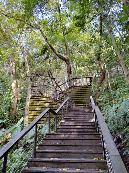 虎頭山-虎嶺迎風步道775371