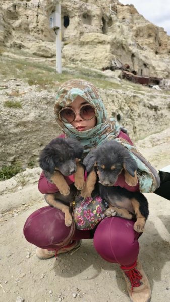 西藏♥️可愛動物🐎人物寫真/拉薩旅拍/美食2902878