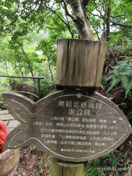 大湖公園→大溝溪生態治水園區→圓覺寺步道→圓覺瀑布→圓覺寺→鯉魚山步道【臺北大縱走 4、臺北健走趣】2849139