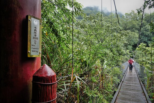 錐麓古道 原路折返2018.10.9432719