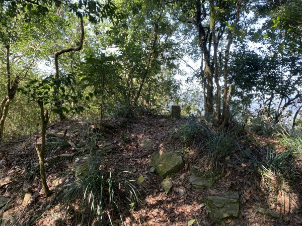 20250228屏東達洼蘭山-下達洼蘭山2732888