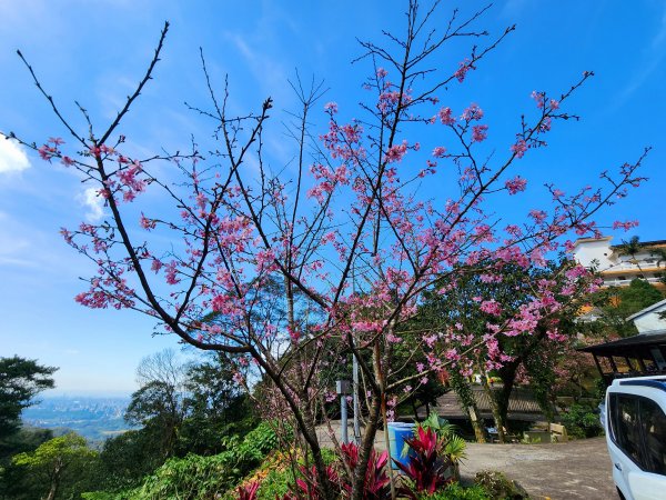 小百岳集起來-汐止大尖山2180983