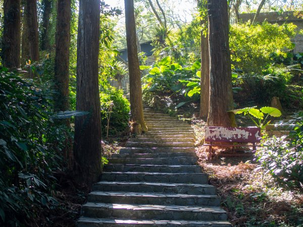 鳳凰谷鳥園2961132