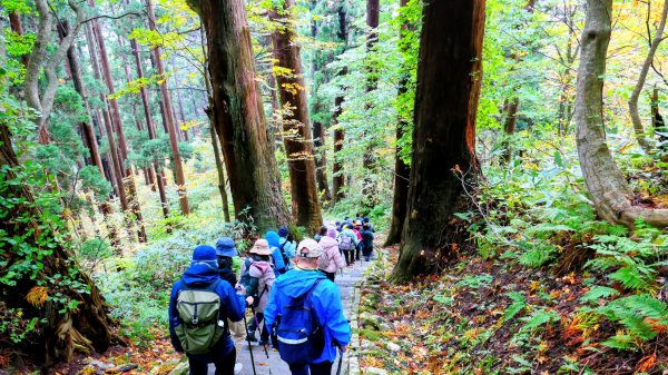 山形縣羽黑山神社2929697