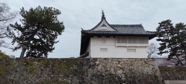 日本九州:佐賀城2996235