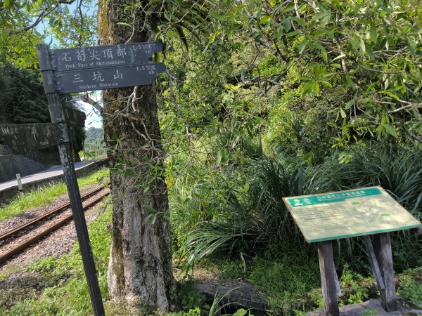 20251010微笑山線：【五分山系】菁桐煤礦段2910209