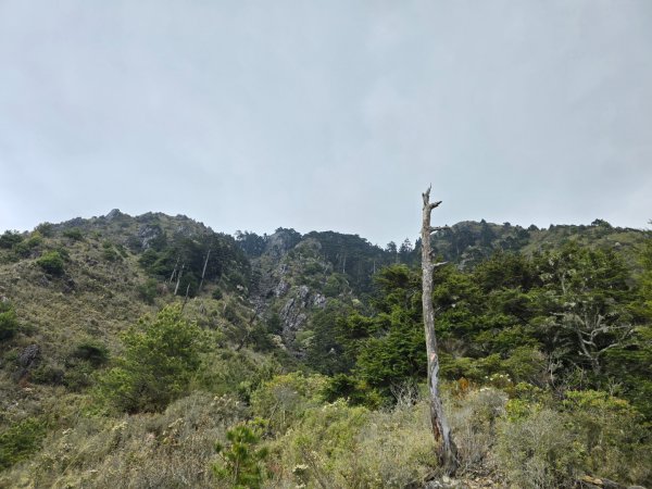 終於看到1000元背面的山景登頂玉山北峰／前峰2495841