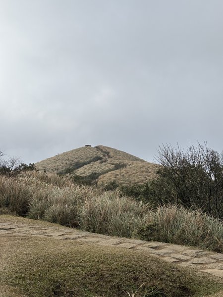 陽明山東西大縱走-東段2984543