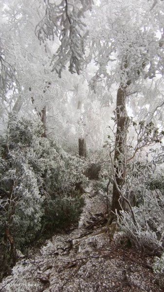 雪季北得拉曼2956473
