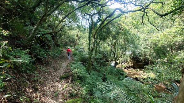 清幽的古道與舊日採礦遺址巡禮瑞芳蛇形子古道登烏塗窟山與獅子嘴奇岩O形2756624