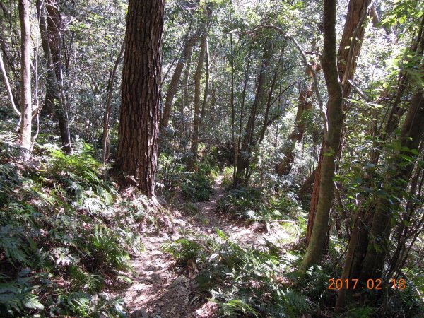 20170218_谷關七雄之三-屋我尾山854596