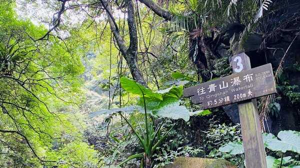 新北石門|老梅溪青山瀑布步道|台版奧入瀨溪|夏日消暑秘境|清涼親子景點1975466