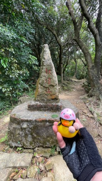 微笑山⛰️線-大棟-二格山-五分山-天上山-鳶山💎12條步道完成💙2834114