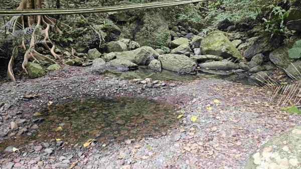 2025050151梗枋山-橋板湖山2774846