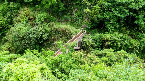 黃金水圳,黃金洞,黃金台。重銘說2775291