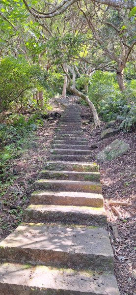 【2024觀音觀鷹尋寶任務】一日走完七條步道完成!2508417