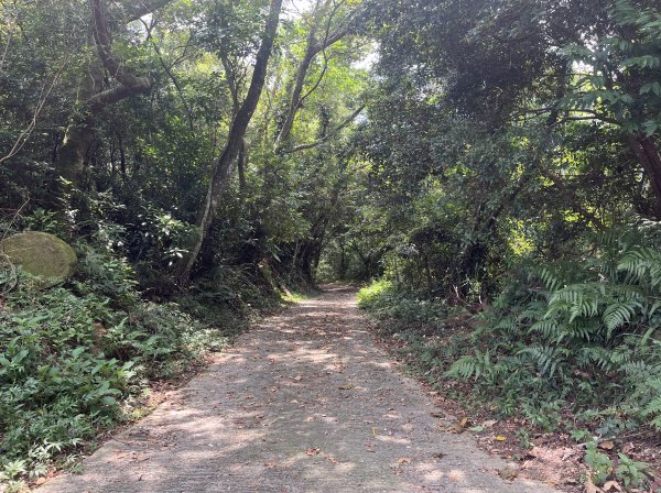 [皮皮獅Hike客任務-02/10] 2024_0720 渡南古道+飛鳳古道2557076