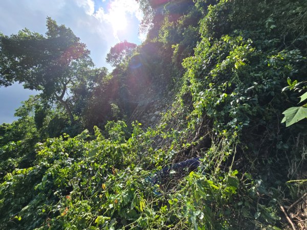 台中大坑四號登山步道（毀損）2563675