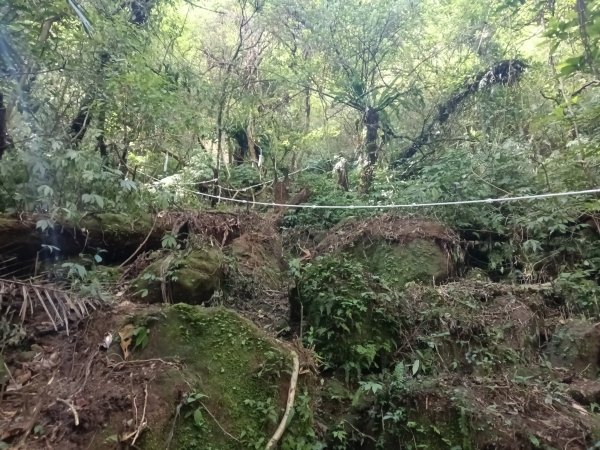 平溪區南山坪蝙蝠洞(濕洞)+平湖山+平湖尖+蝙蝠洞(乾洞)O型2833880