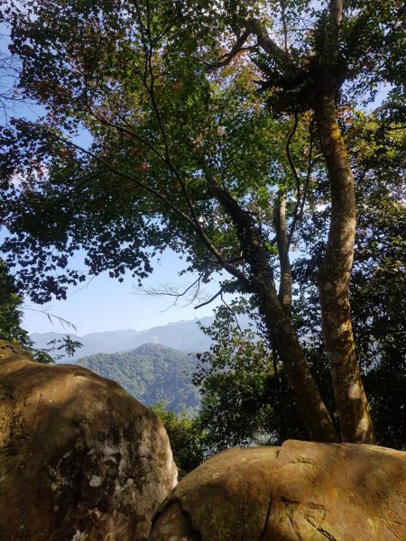 馬那邦山~楓紅還要再等等~468900